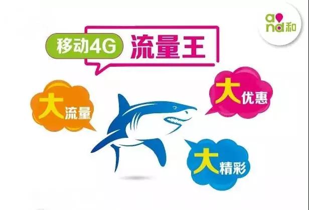 移动流量王全国版